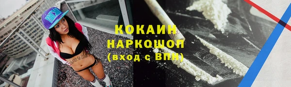 мдпв Дмитриев
