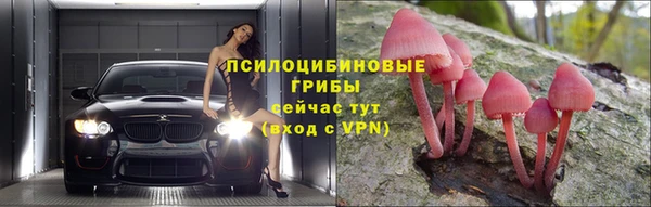 мдпв Дмитриев