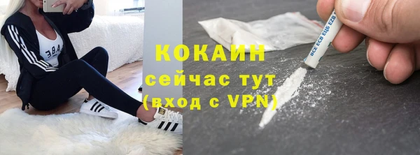 мдпв Дмитриев