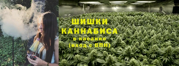 spice Дмитров
