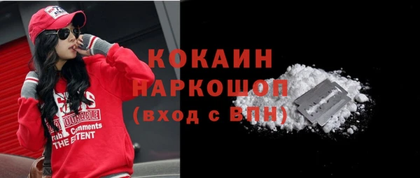 мдпв Дмитриев