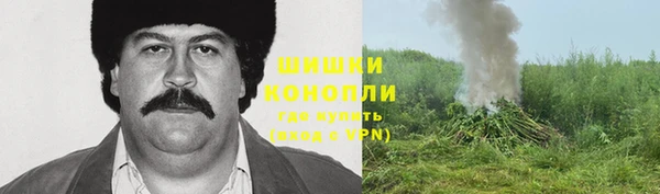 мдпв Дмитриев