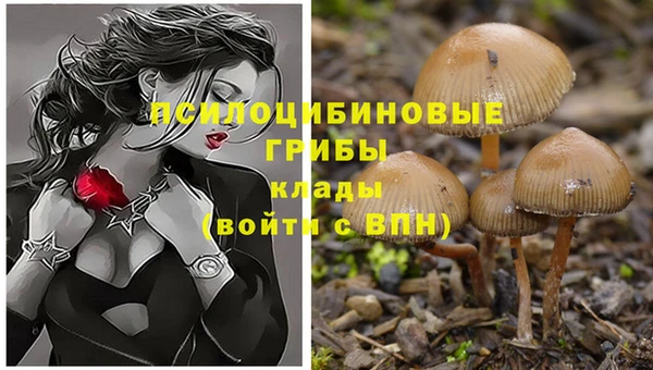мдпв Дмитриев