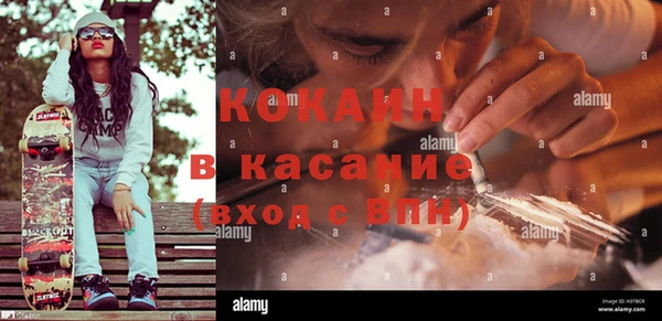 мдпв Дмитриев