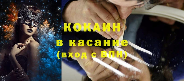 мдпв Дмитриев