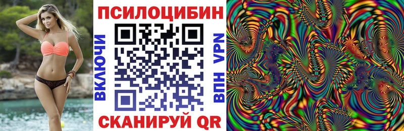 купить закладку  Ермолино  сайты даркнета телеграм  Псилоцибиновые грибы Psilocybine cubensis 